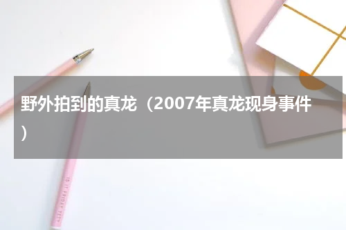 野外拍到的真龙（2007年真龙现身事件）