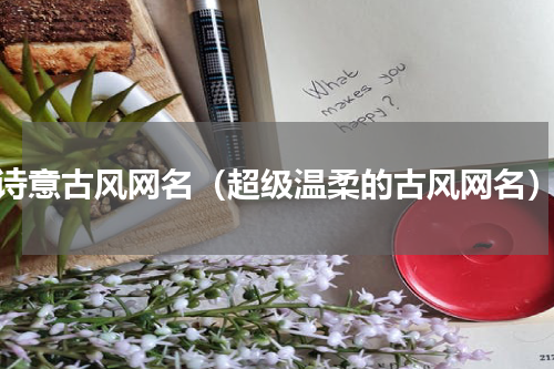 诗意古风网名（超级温柔的古风网名）