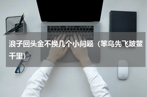 浪子回头金不换几个小问题（笨鸟先飞跛鳖千里）