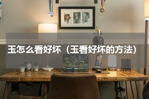 玉怎么看好坏（玉看好坏的方法）