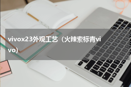 vivox23外观工艺（火辣索标青vivo）