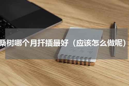 桑树哪个月扦插最好（应该怎么做呢）