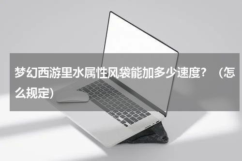 梦幻西游里水属性风袋能加多少速度？（怎么规定）