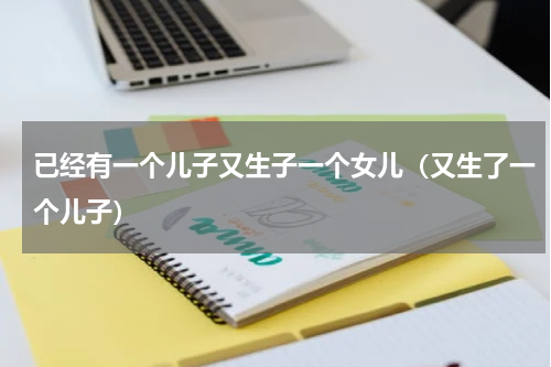 已经有一个儿子又生子一个女儿（又生了一个儿子）