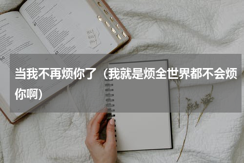 当我不再烦你了（我就是烦全世界都不会烦你啊）
