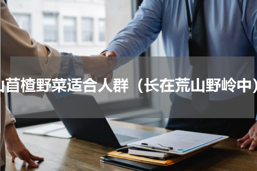 山苜楂野菜适合人群（长在荒山野岭中）