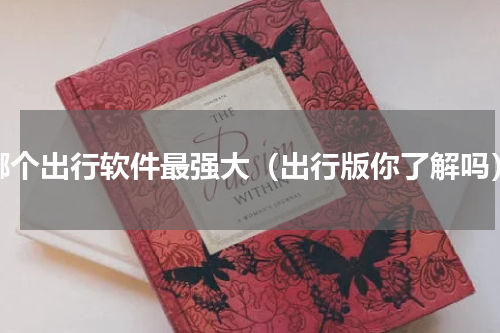 哪个出行软件最强大（出行版你了解吗）