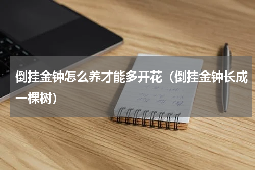 倒挂金钟怎么养才能多开花（倒挂金钟长成一棵树）