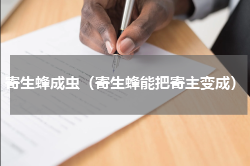 寄生蜂成虫（寄生蜂能把寄主变成）