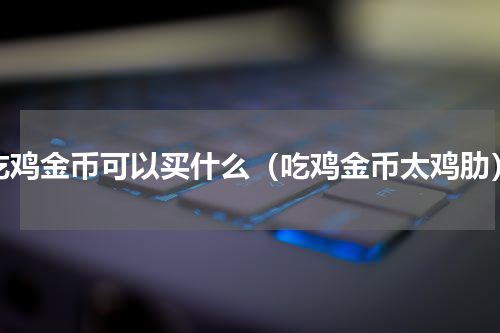 吃鸡金币可以买什么（吃鸡金币太鸡肋）