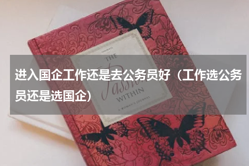 进入国企工作还是去公务员好（工作选公务员还是选国企）