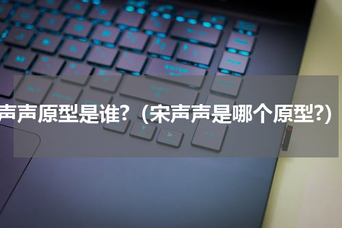 宋声声原型是谁?（宋声声是哪个原型?）