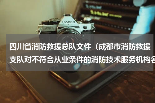 四川省消防救援总队文件（成都市消防救援支队对不符合从业条件的消防技术服务机构名单进行公示）