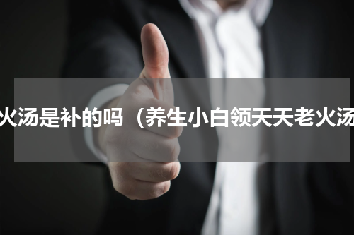 老火汤是补的吗（养生小白领天天老火汤）