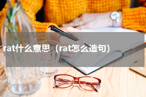 rat什么意思（rat怎么造句）