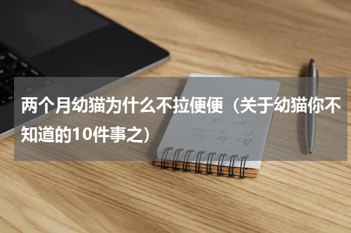 两个月幼猫为什么不拉便便（关于幼猫你不知道的10件事之）