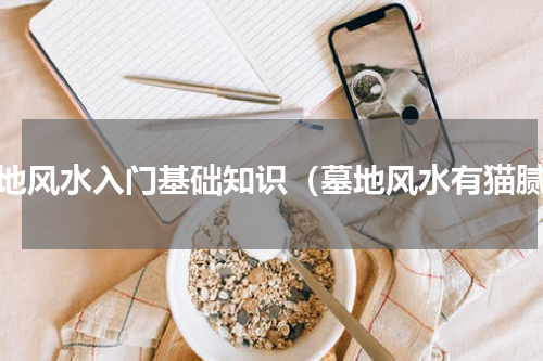 墓地风水入门基础知识（墓地风水有猫腻）