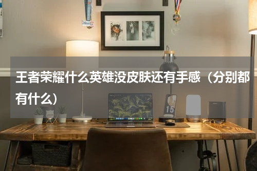 王者荣耀什么英雄没皮肤还有手感（分别都有什么）