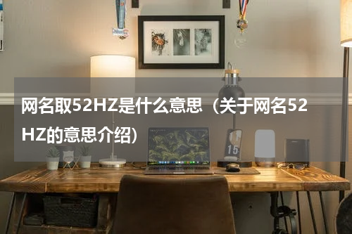 网名取52HZ是什么意思（关于网名52HZ的意思介绍）
