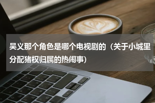 吴义那个角色是哪个电视剧的（关于小城里分配猪权归属的热闹事）