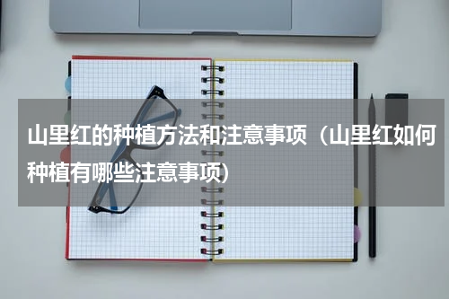 山里红的种植方法和注意事项（山里红如何种植有哪些注意事项）