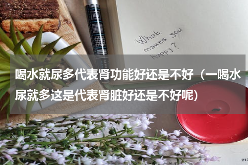 喝水就尿多代表肾功能好还是不好（一喝水尿就多这是代表肾脏好还是不好呢）