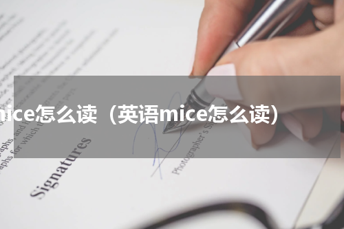 mice怎么读（英语mice怎么读）