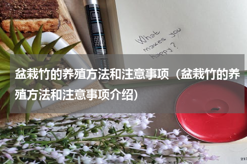 盆栽竹的养殖方法和注意事项（盆栽竹的养殖方法和注意事项介绍）