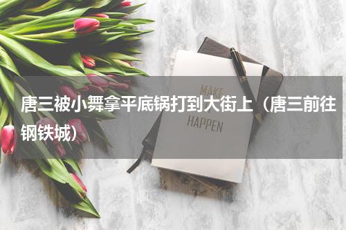 唐三被小舞拿平底锅打到大街上（唐三前往钢铁城）
