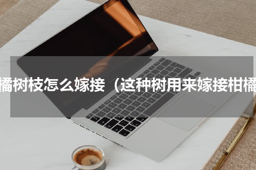 柑橘树枝怎么嫁接（这种树用来嫁接柑橘）