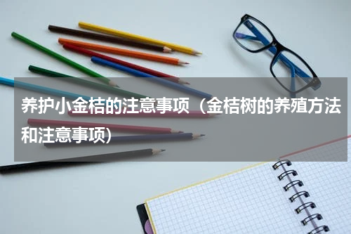 养护小金桔的注意事项（金桔树的养殖方法和注意事项）
