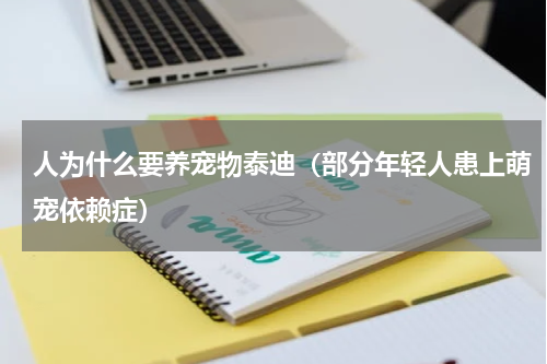 人为什么要养宠物泰迪（部分年轻人患上萌宠依赖症）