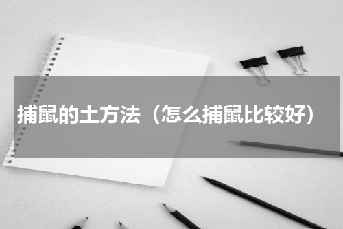 捕鼠的土方法（怎么捕鼠比较好）