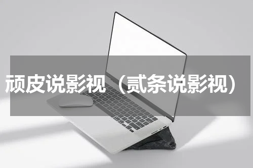 顽皮说影视（贰条说影视）