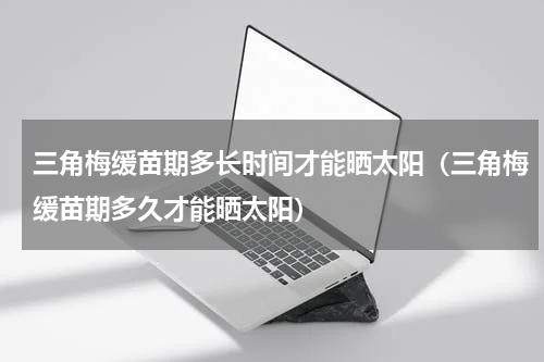 三角梅缓苗期多长时间才能晒太阳（三角梅缓苗期多久才能晒太阳）