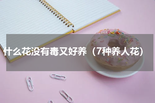 什么花没有毒又好养（7种养人花）