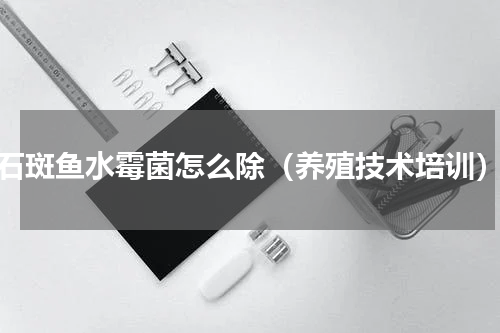 石斑鱼水霉菌怎么除（养殖技术培训）