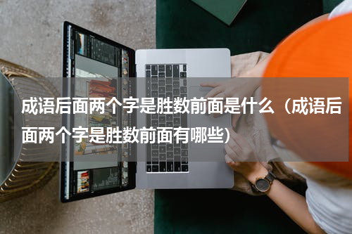 成语后面两个字是胜数前面是什么（成语后面两个字是胜数前面有哪些）