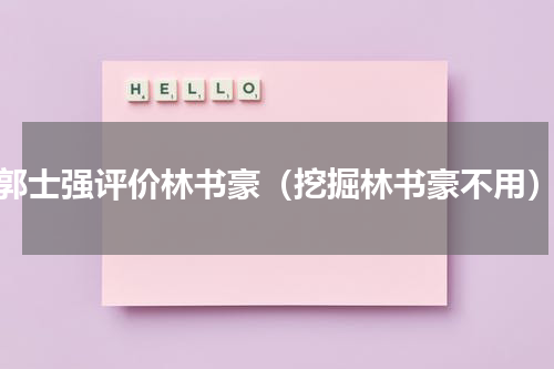郭士强评价林书豪（挖掘林书豪不用）