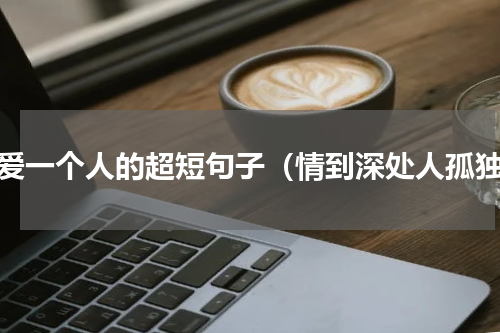 深爱一个人的超短句子（情到深处人孤独）
