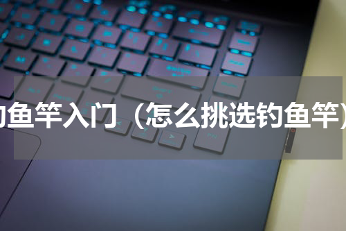 钓鱼竿入门（怎么挑选钓鱼竿）
