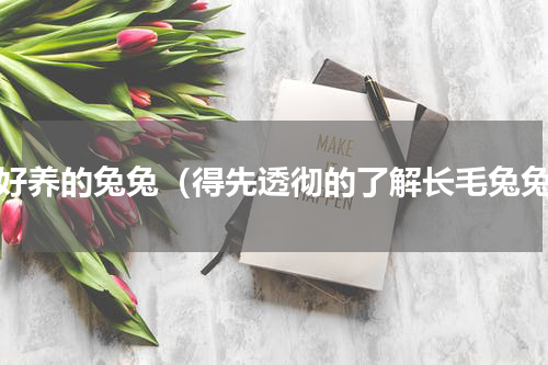 最好养的兔兔（得先透彻的了解长毛兔兔）