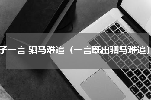 君子一言 驷马难追（一言既出驷马难追）