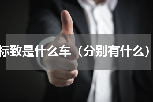 L标致是什么车（分别有什么）