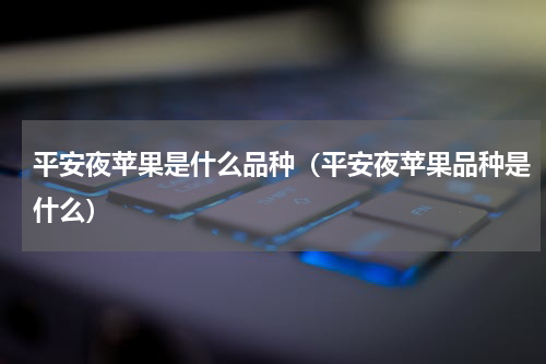 平安夜苹果是什么品种（平安夜苹果品种是什么）
