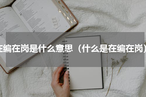 在编在岗是什么意思（什么是在编在岗）