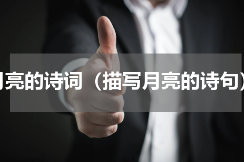 月亮的诗词（描写月亮的诗句）