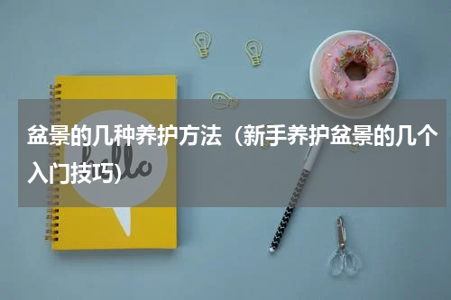 盆景的几种养护方法（新手养护盆景的几个入门技巧）