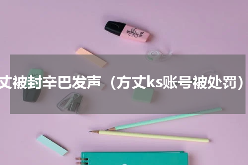 方丈被封辛巴发声（方丈ks账号被处罚）