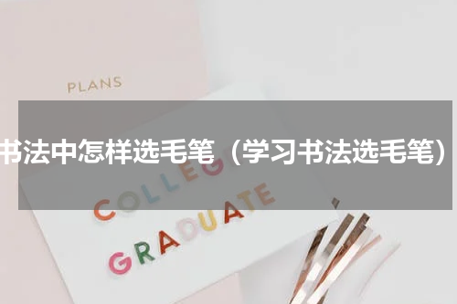 书法中怎样选毛笔（学习书法选毛笔）